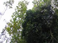 Albums/20060200-New Zealand 2006/20060205-Greymouth_Punakaiki/9